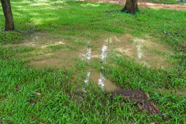 Storm Water Drainage Service in East Stroudsburg