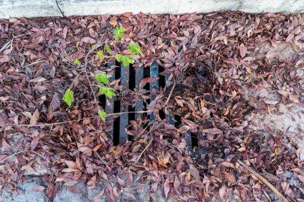 Yard Drain Unclogging in East Stroudsburg