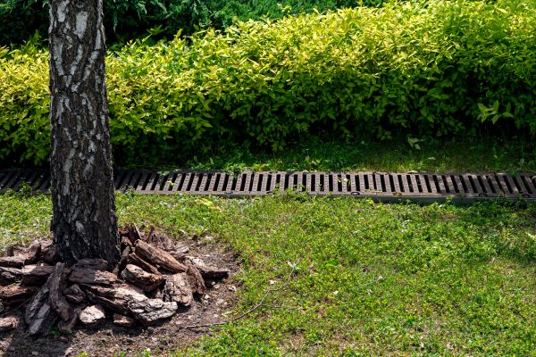 Garden Drainage Installation in East Stroudsburg