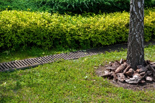 Residential Landscape Drainage in East Stroudsburg