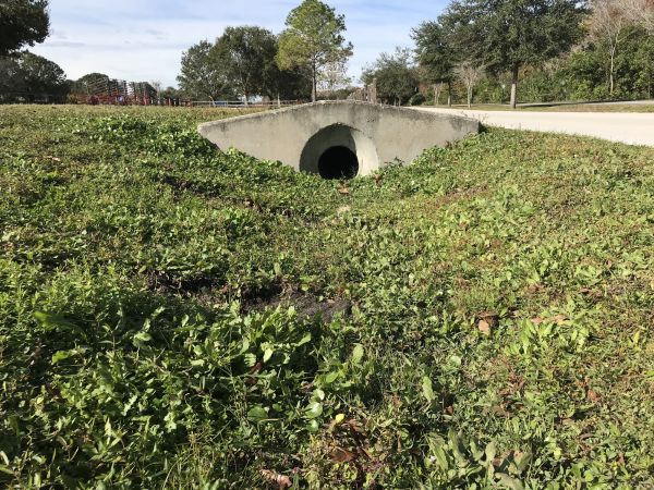 Cost of Swale Drainage Service in East Stroudsburg